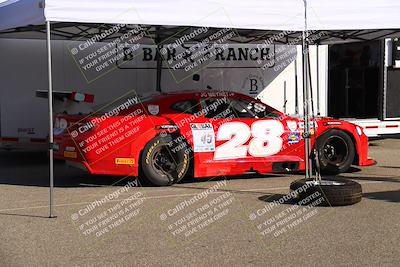 media/Nov-11-2023-GTA Finals Buttonwillow (Sat) [[117180e161]]/Around the Pits/